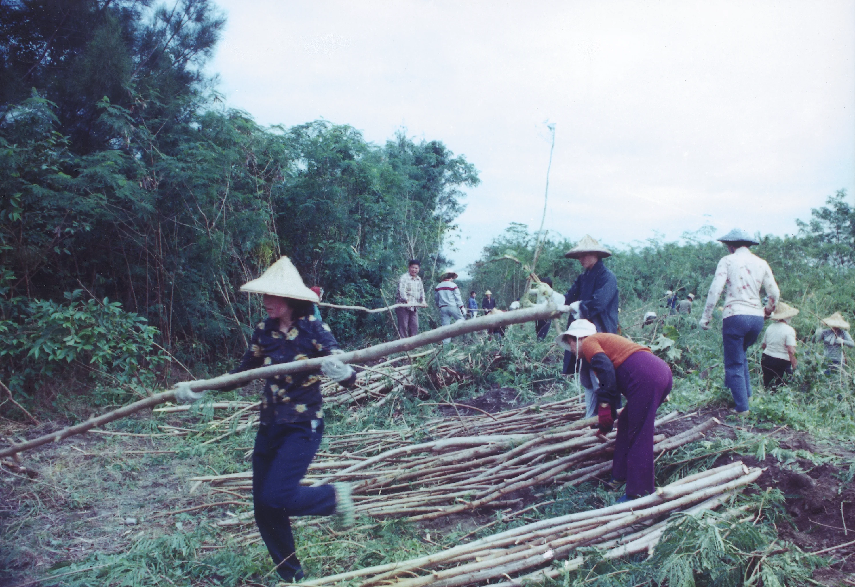 1983 年建院照片
