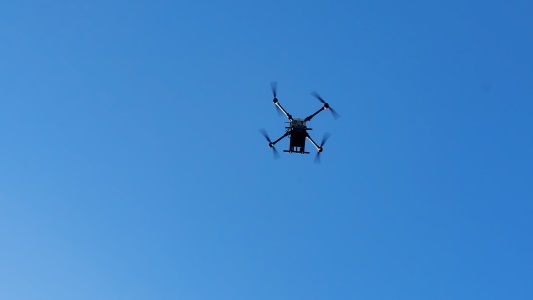 img 7