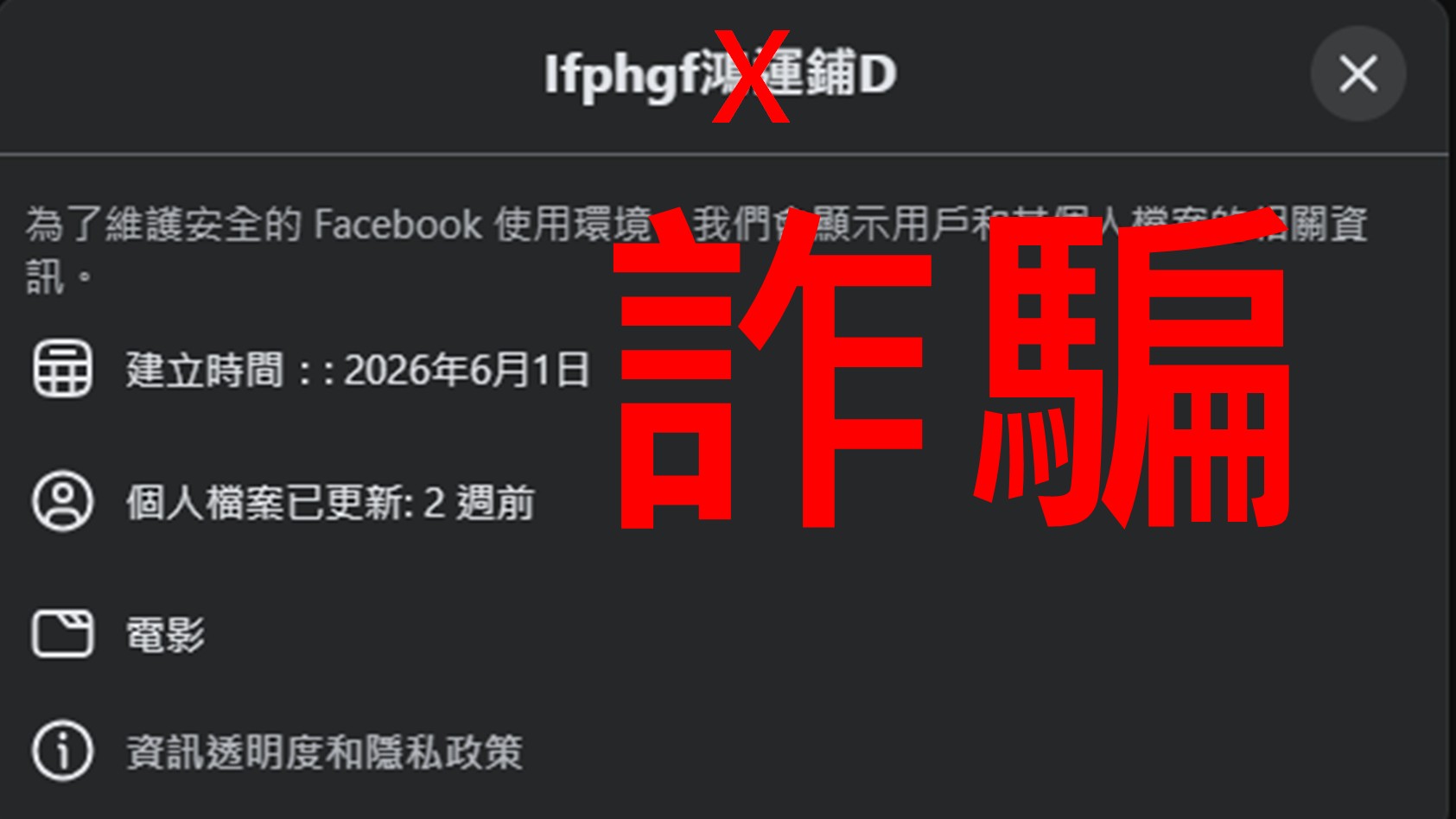 fake20260616 2