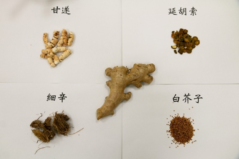常常感冒、過敏別擔心　把握中醫三伏貼調體質