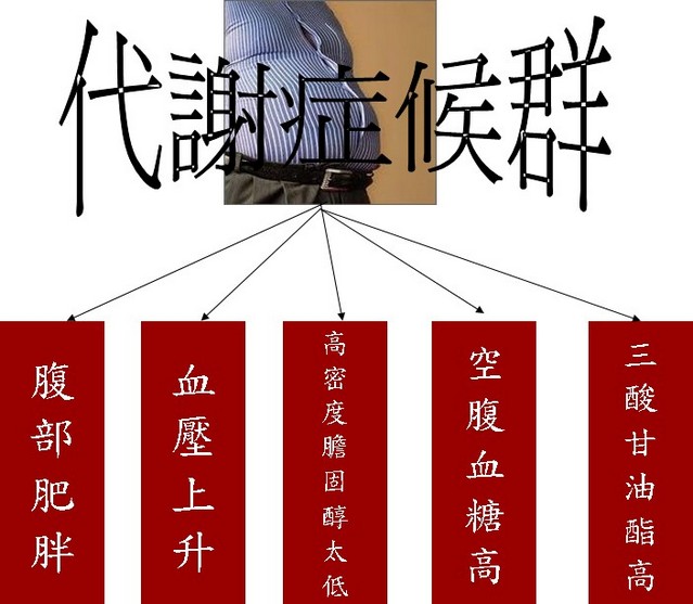 代謝1
