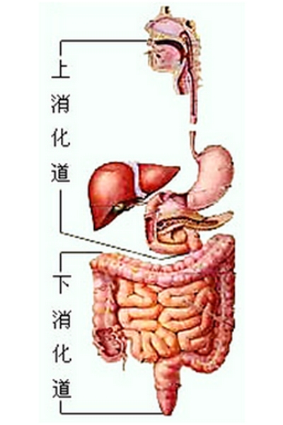 急性上消化道出血