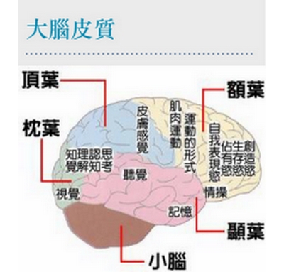缺氧性腦病變